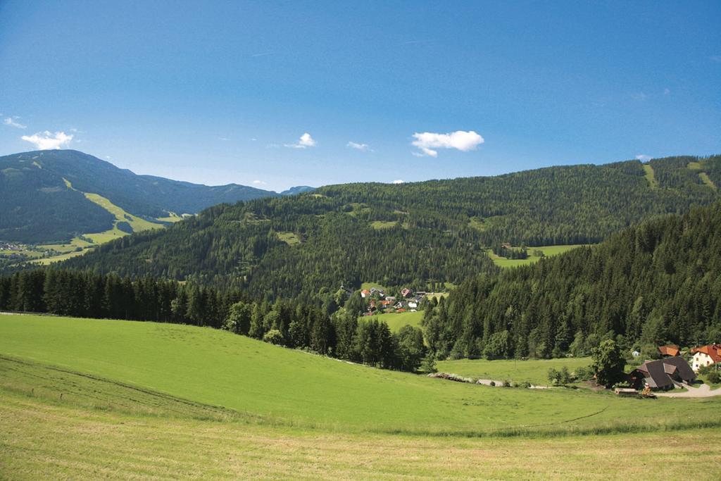 Ferienhaus Maxi Sankt Blasen Exterior foto